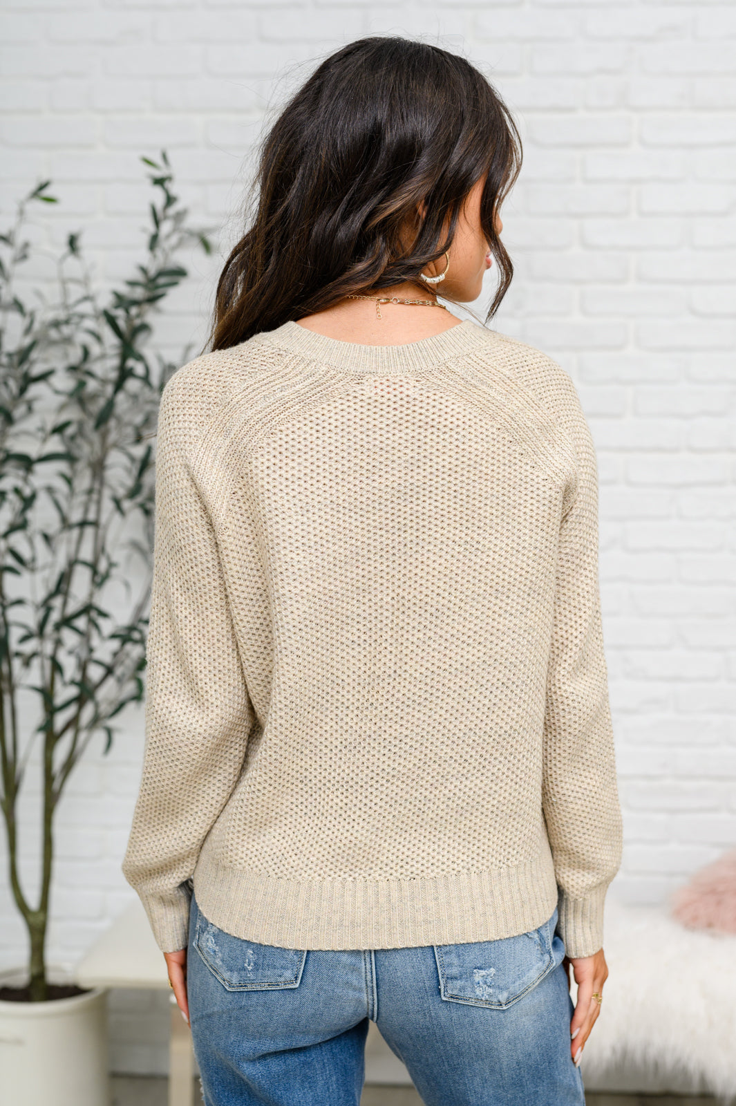 Chai Latte V-Neck Sweater in Oatmeal Ave Shops