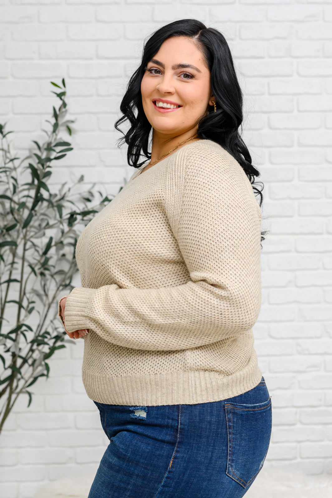 Chai Latte V-Neck Sweater in Oatmeal Ave Shops