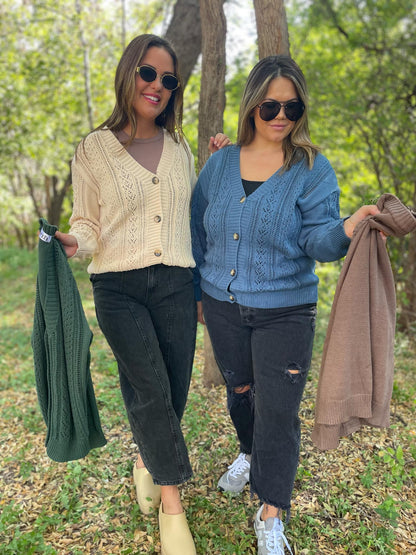 PREORDER: Austin Button Cardigan in Four Colors Ave Shops
