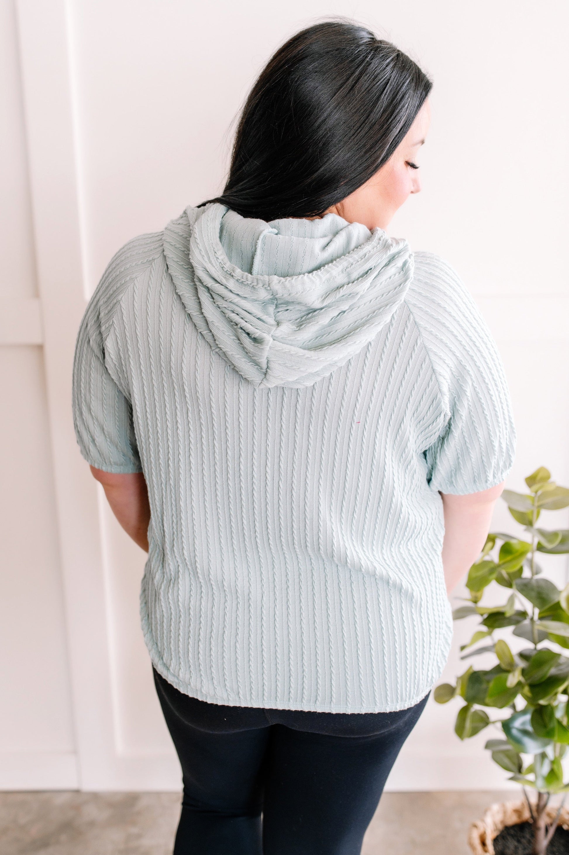 Short Sleeve Cable Knit Hoodie In Light Agave American Boutique Drop Ship